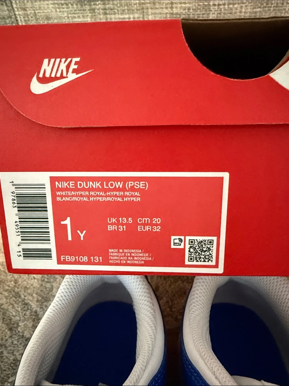 Nike Kids Blue & White Low-Top Dunk Sneakers